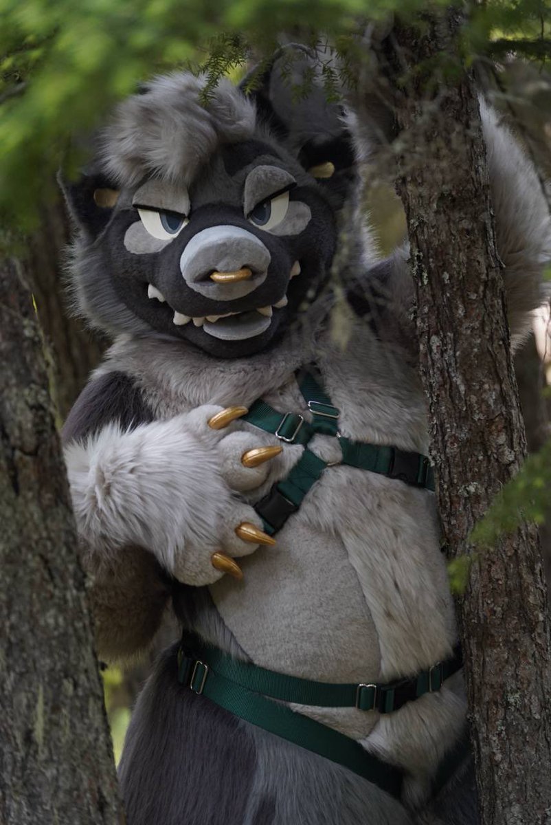 TABBY 🔜 FWA (@cuppatabby) on Twitter photo You come across this creature in the woods… Will you spend your #FursuitFriday with them? 
See you critters at Furvana next week! 
🌊🌊🌊
📸: <a href="/sabletide/">stark 🌙</a> You come across this creature in the woods… Will you spend your #FursuitFriday with them? 
See you critters at Furvana next week! 
🌊🌊🌊
📸: <a href="/sabletide/">stark 🌙</a>