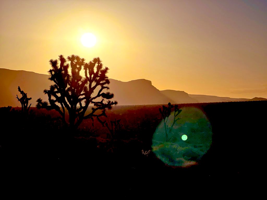 A unicorn crossing, now that’s something you don’t see every day. Unless you live near Meadview Arizona. Where most of these shots were taken. It is by far one of my favorite areas of the United States. Go explore take some pictures and share them here.

#Caravan #Karvan