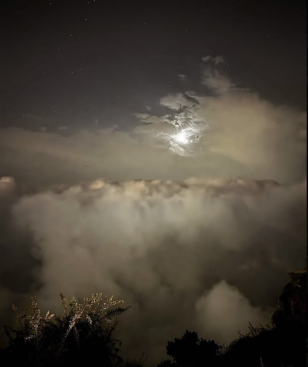 —— قهوة اليوم بين النجوم والسحاب