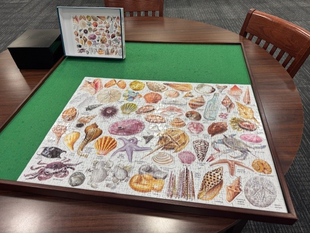 The first puzzle of this school year was completed a few days ago. This beautiful puzzle took about six days for students to assemble during passing periods, enrichment, &amp; lunch breaks. We love watching how the library community puzzles get put together during student breaks.🧩