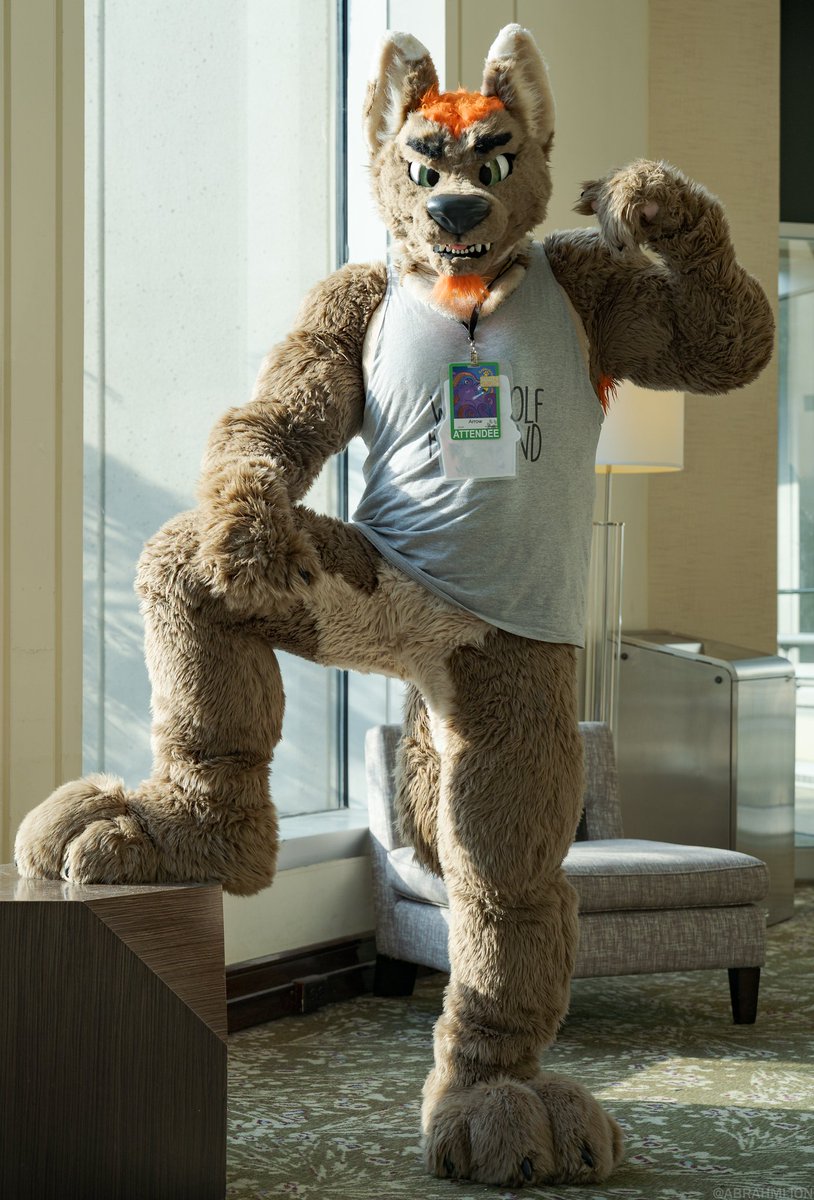 Time for MegaPlex, huh? My first time there, looking forward to it. Look out for this big flexer causing problems. I've been doing a lot of cardio and lifting lately, I'll be an EXTRA big problem this time. 😈 #FursuitFriday

📸: <a href="/AbrahmLion/">α Lion 📷🎼🦁</a>