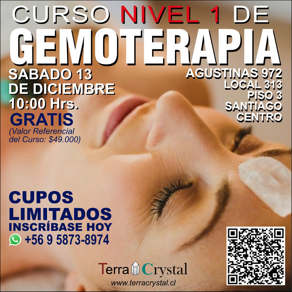 TerraCrystal tweet media