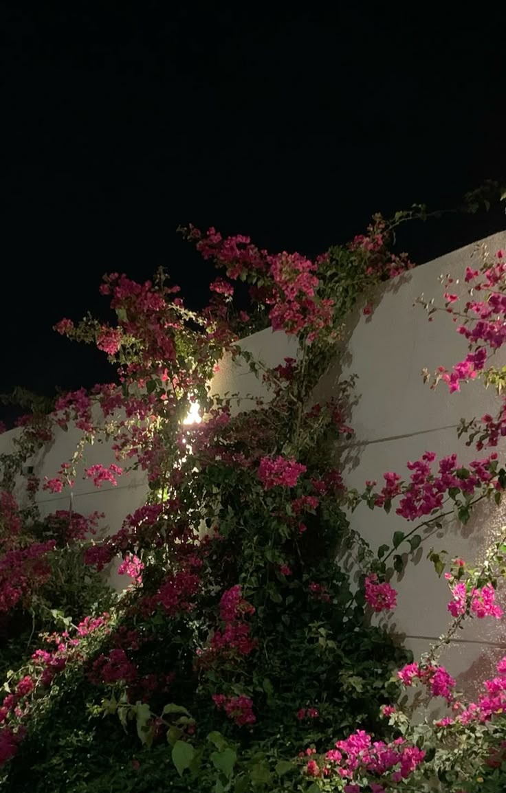 Good night! May the stars guard your rest and the moonlight calm your soul