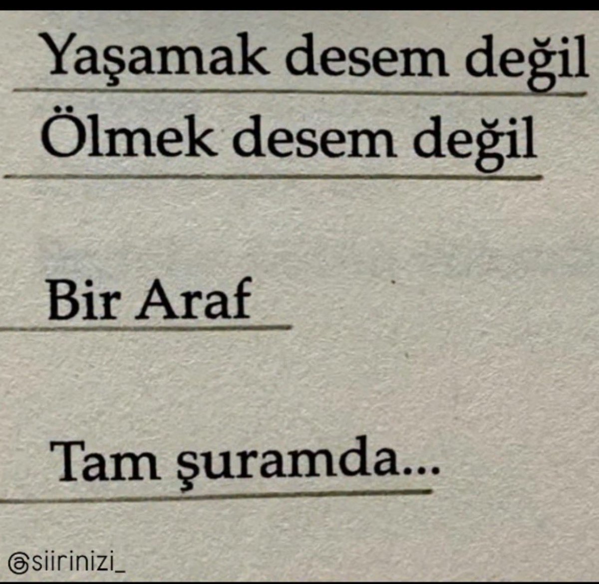 Enes (@enesdoggan) on Twitter photo 