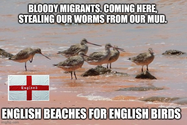 GJGamble 🐜 tweet media