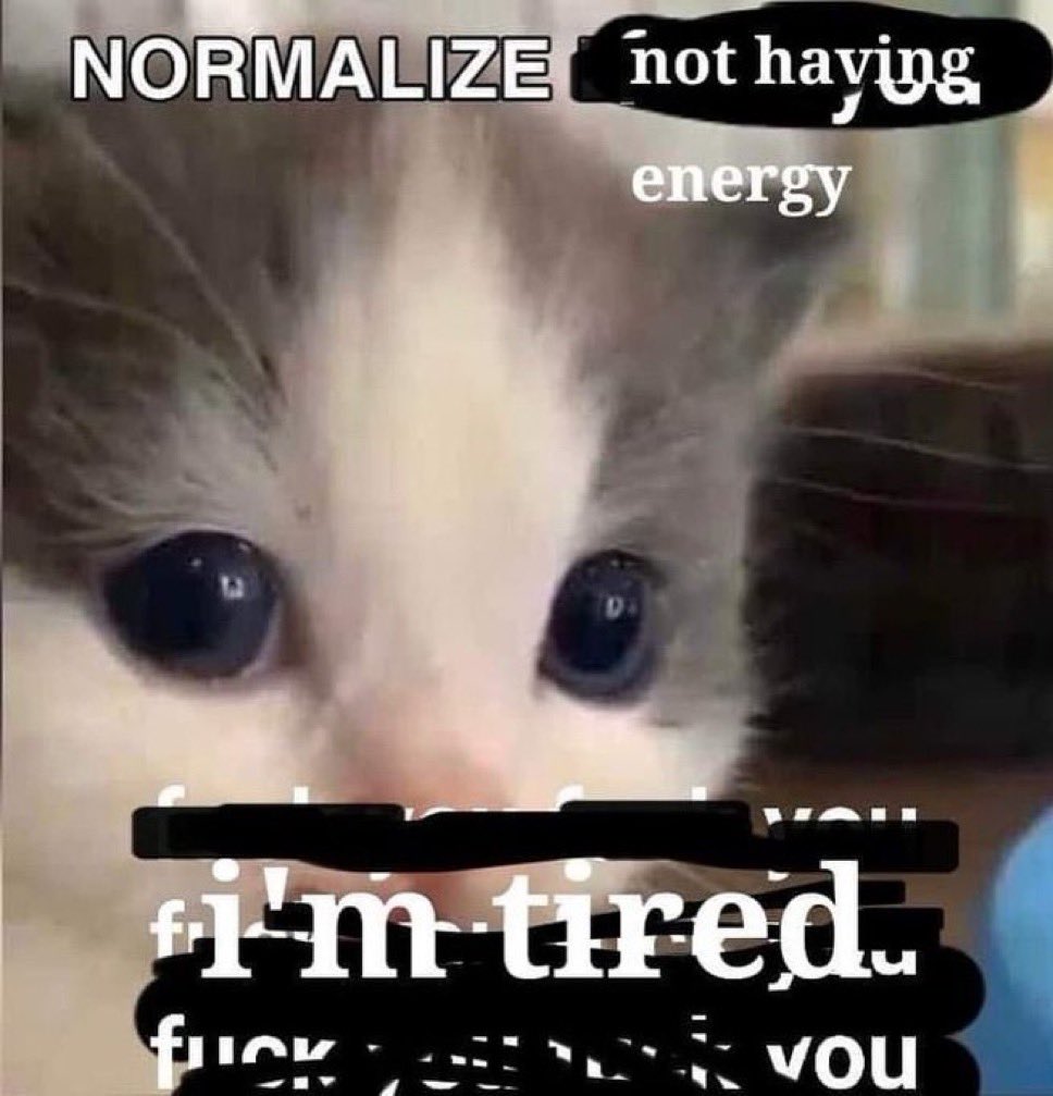 LiterallyMeCats (@literallymecats) on Twitter photo 