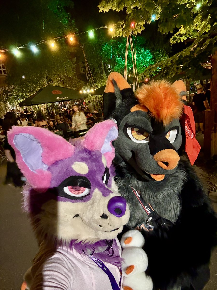 Tapik_Dato's tweet photo. Look, I found some stinki @ArcherWoofi 

#FursuitFriday https://t.co/p8oEr7VfXn