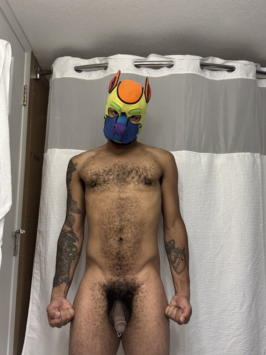 Chromatipup ( Messy Gunge Pup) (@gaybatorpup) on Twitter photo 