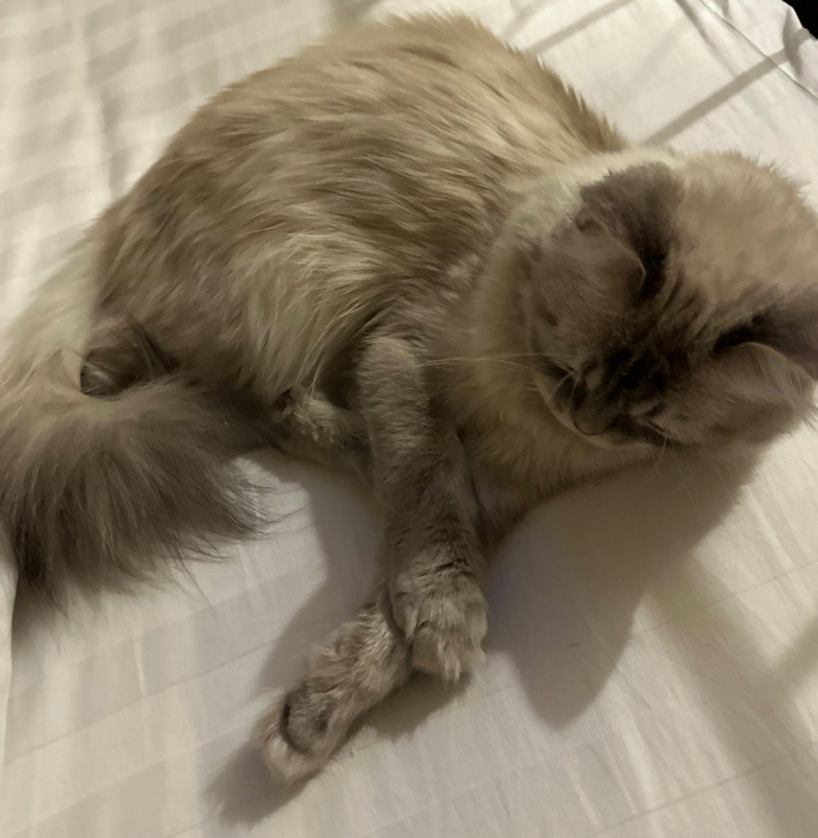 All she does is sleep