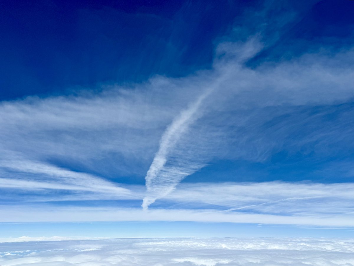 Vítek No tweet media