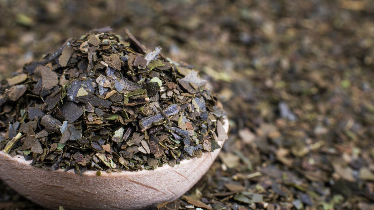 trchealthcare's tweet image. Guayusa teas and supplements are gaining popularity, but research on their benefits is limited. Learn what the evidence does and doesn’t support by reading our NatMed article: hubs.ly/Q03C1qP00

#guayusa #herbaltea #naturalsupplements