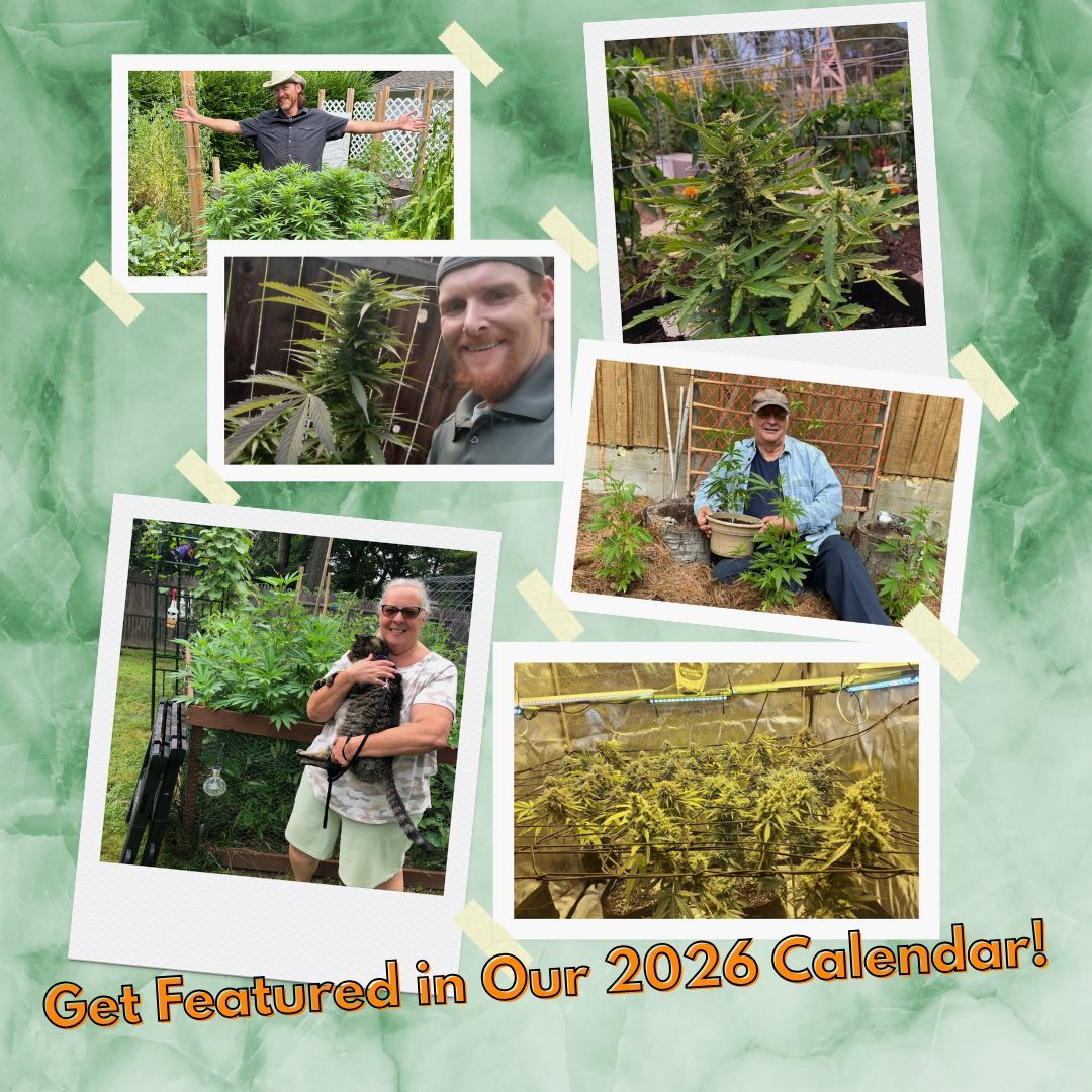 🌱✨ The Reefertilizer Cannabis Calendar is BACK! ✨🌱

Think your plants are calendar-worthy? 📸 Show off your best grow and enter to be featured in the 2026 Reefertilizer Growers Calendar!

👉 Submit your photo before Nov 1st, 2025. Link in bio.

buff.ly/afr354V