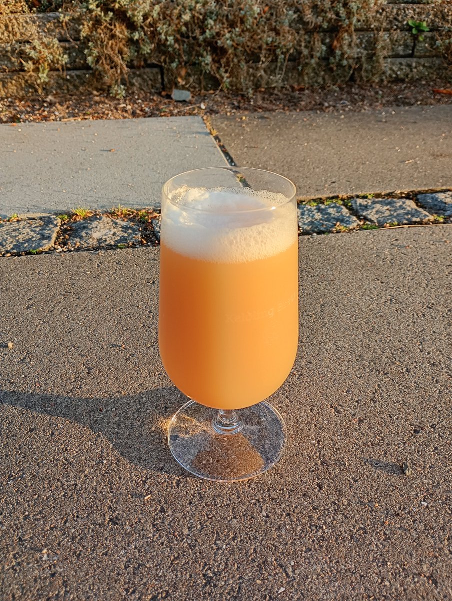 Bringing back the Funk at Randers Ølfestival 2025 lørdag d. 30. august på Kirketorvet !