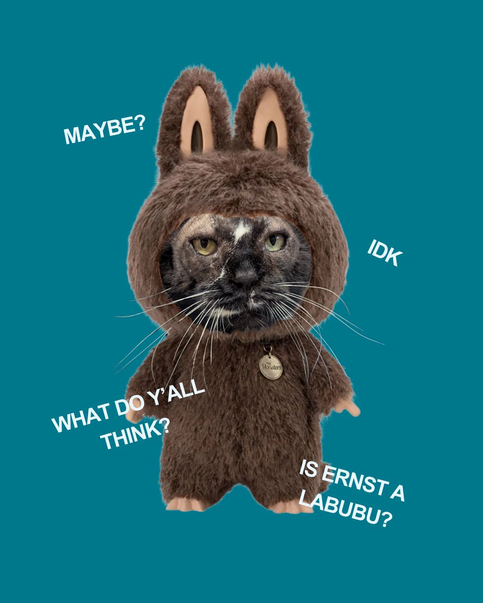 Our shelter vet looked at Ernst and said, That’s a Labubu.
And honestly? We can’t unsee it.

🧙‍♂️ Enigmatic stare? Check
✨ Probably grants wishes, but only weird ones? Absolutely

What do you think, is Ernst just a cat… or a Labubu in disguise?

Come meet this cryptid king at RAL