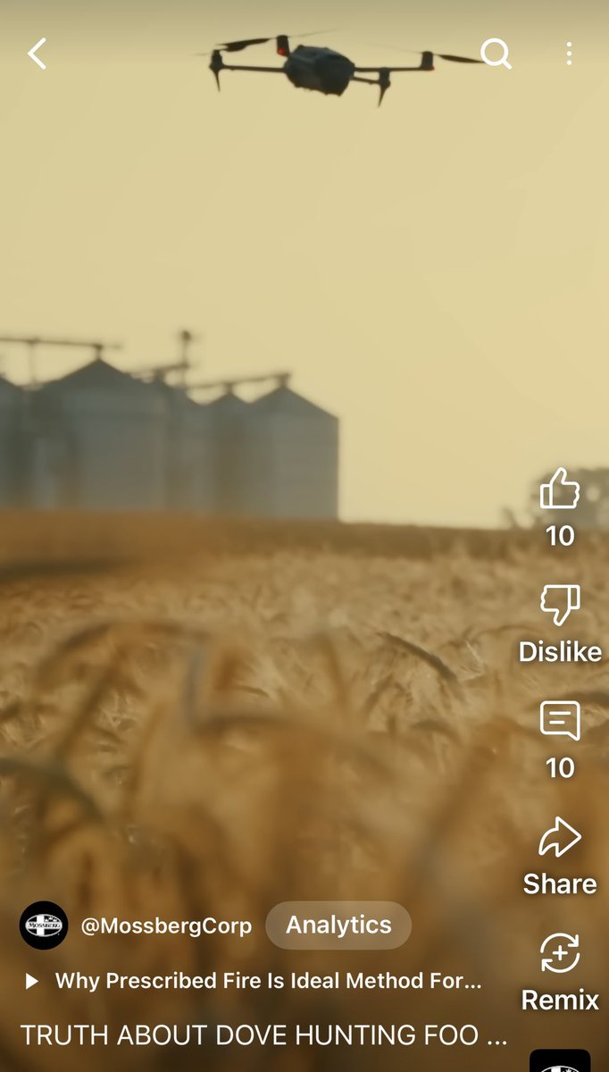 Jason Cruise tweet media