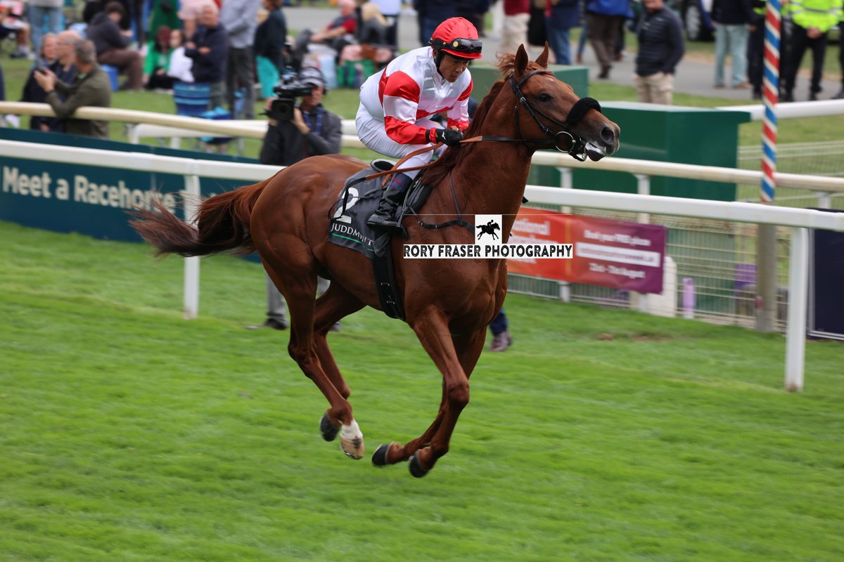 Rory Fraser Photography🤘 (@92roryf) on Twitter photo DANON DECILE (Epiphaneia x Top Decile) at York recently for the Group One Juddmonte International (1m 2f)
Trained by <a href="/shogo_y_stable/">安田翔伍/SHOGO YASUDA</a> and owned by Danox Co Ltd.
Winner of the 2024 Japanese Derby (Tokyo Yushun) and this year's Gr. 1 Dubai Sheema Classic at Meydan in March. DANON DECILE (Epiphaneia x Top Decile) at York recently for the Group One Juddmonte International (1m 2f)
Trained by <a href="/shogo_y_stable/">安田翔伍/SHOGO YASUDA</a> and owned by Danox Co Ltd.
Winner of the 2024 Japanese Derby (Tokyo Yushun) and this year's Gr. 1 Dubai Sheema Classic at Meydan in March.