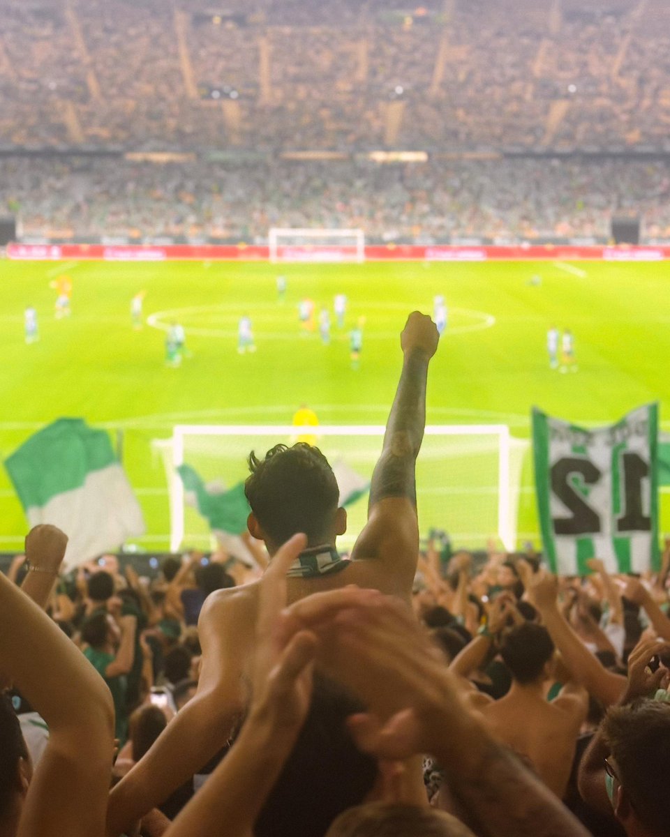Yo quiero que sea así,
con la banda del campeón.

💚🤍💚