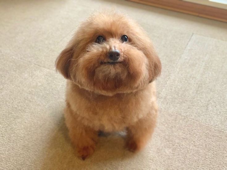 I'm starting to think things are going to be ok