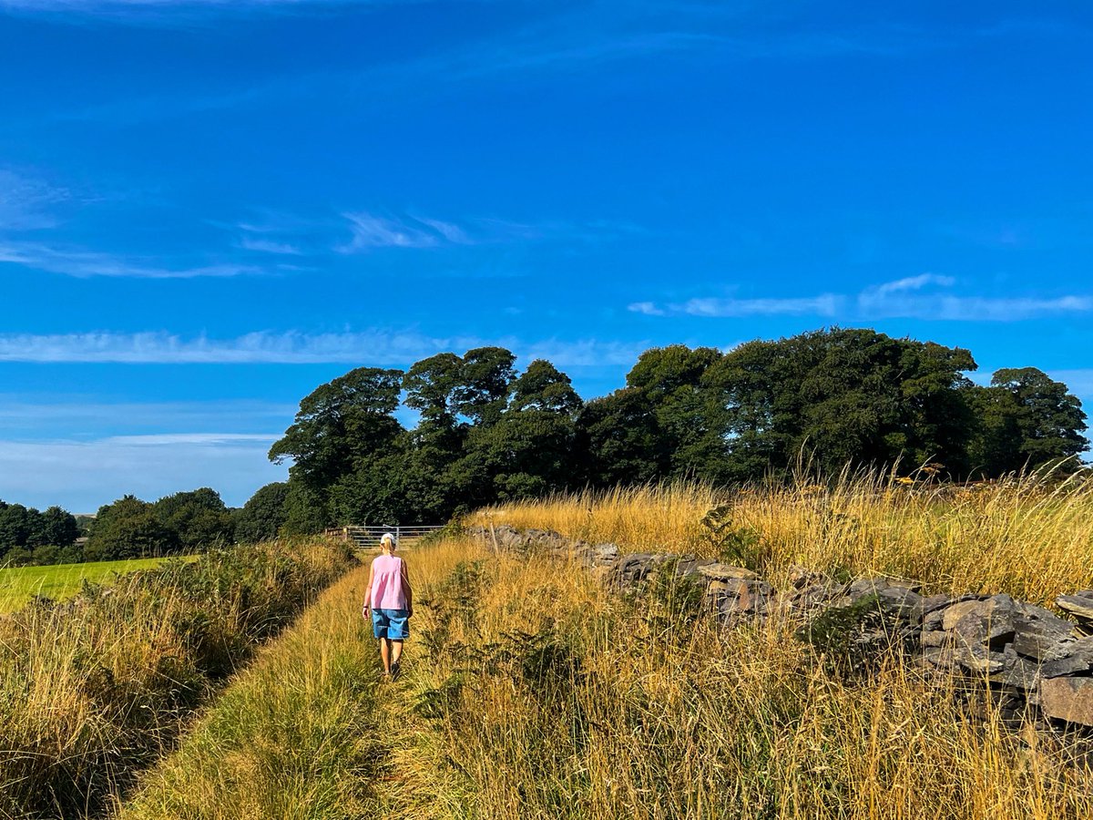 Shocking - warm sun on Bank Holiday Monday: a walk near Bramhope and Leeds Bradford airport

10.36am, 25th August 2025