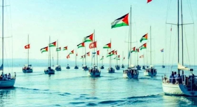 Fabio65C's tweet image. Partiti, ora vediamo se Israele le sequestra tutte o le affonda ..
#FreedomFlotilla 
#29agosto2025