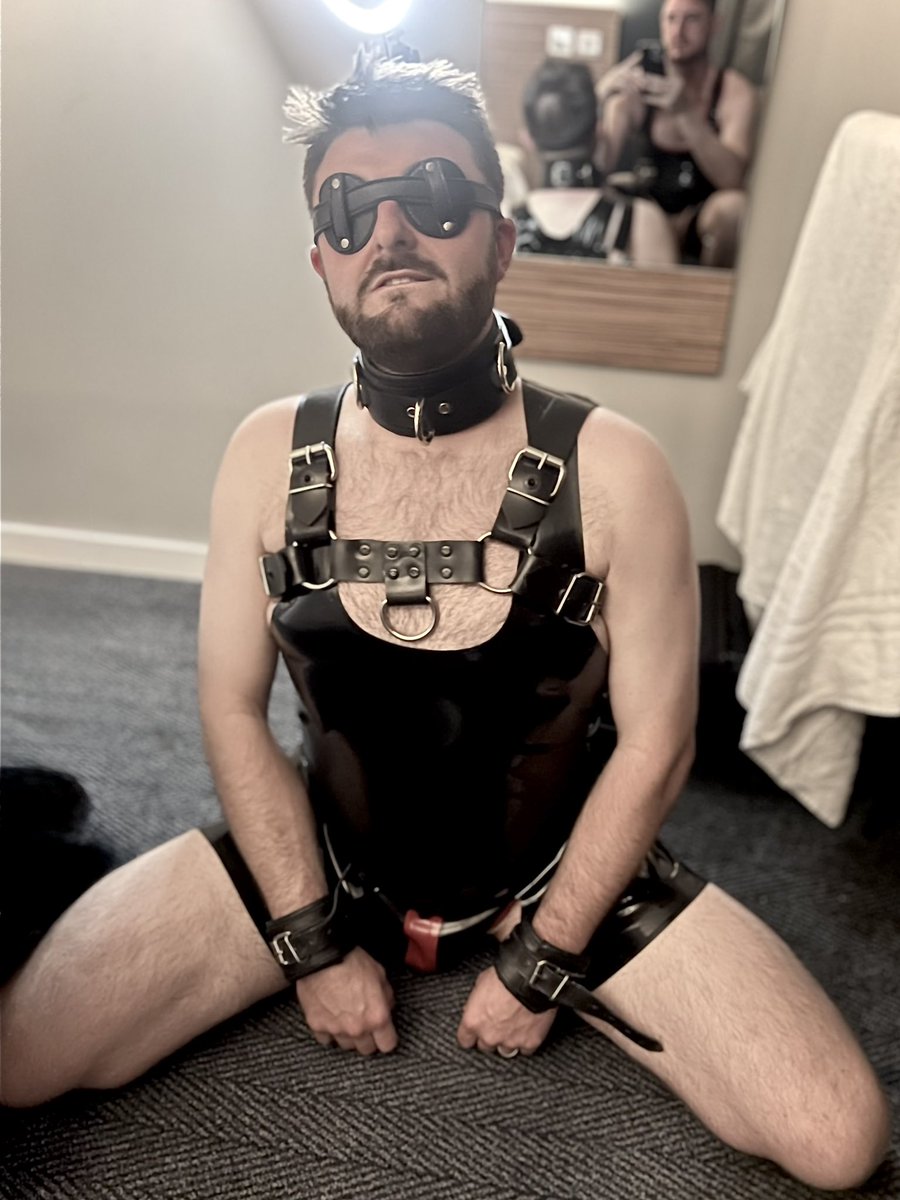 CDF bear tweet media