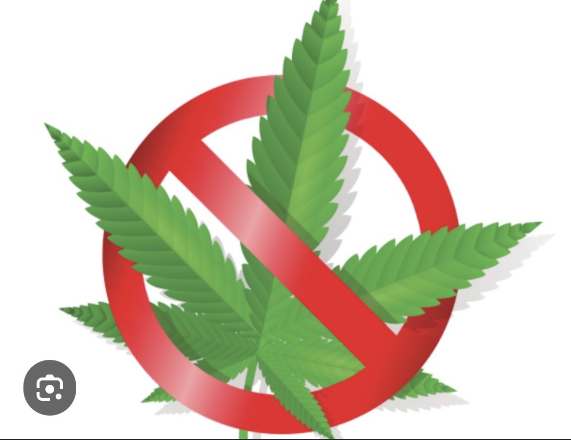 No a las drogas, Mexico no tiene necesidad de inundarse de drogadictos como las calles de California.  #DerechosYNoRetrocesos