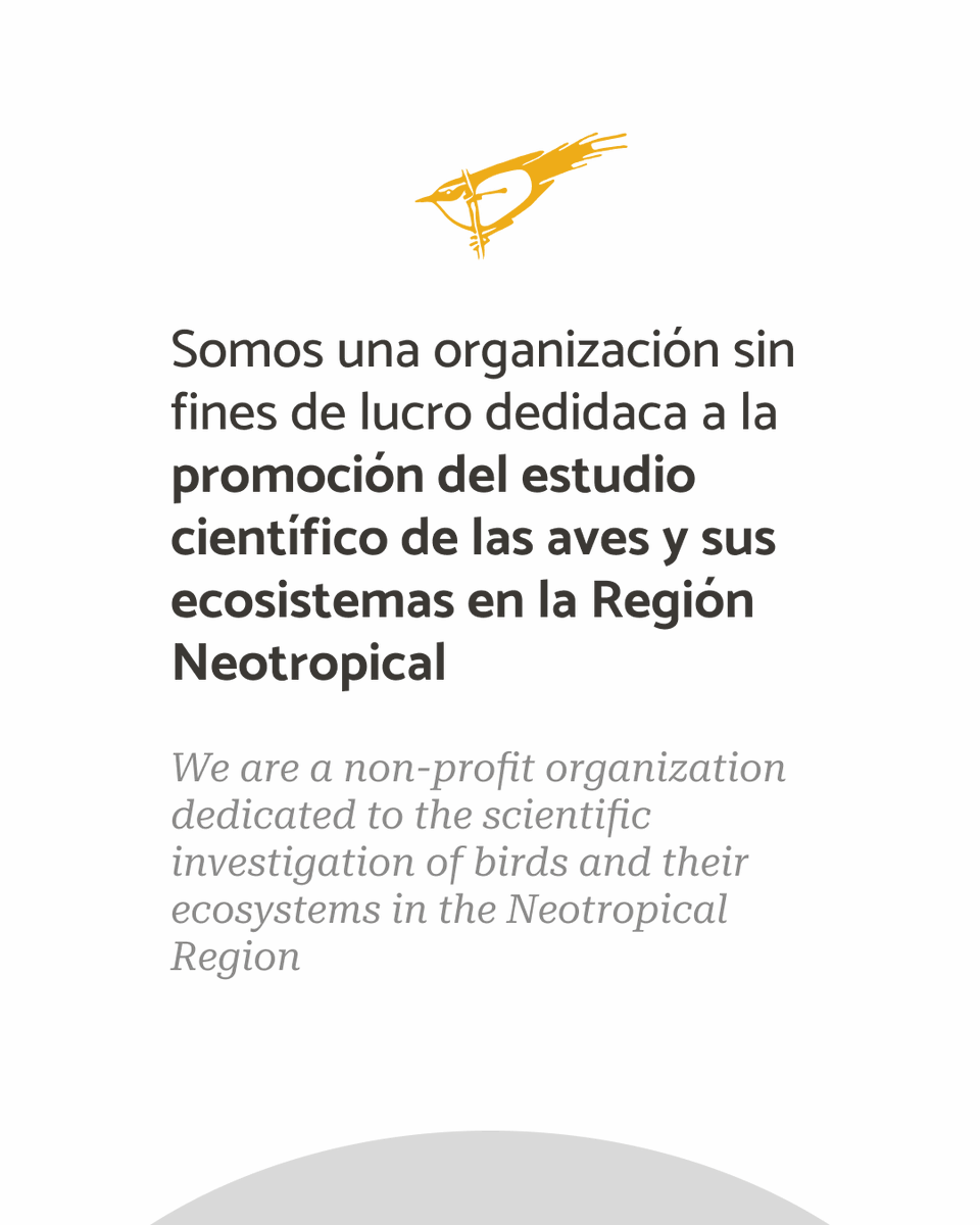 Ornitología Neotropical tweet media