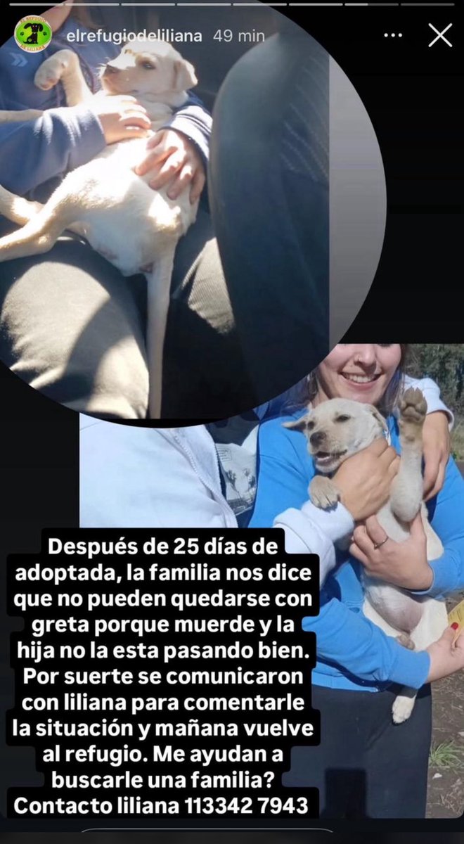 pdzoth's tweet photo. @aaguvolpato gracias por rt! https://t.co/1ttYqgDLBT