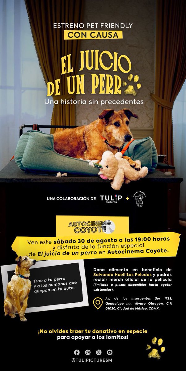 Girls at Films tweet media