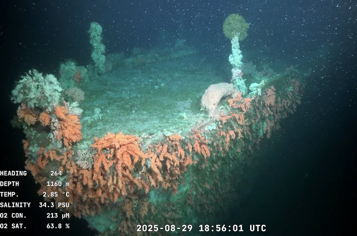 Universidad de la República tweet media