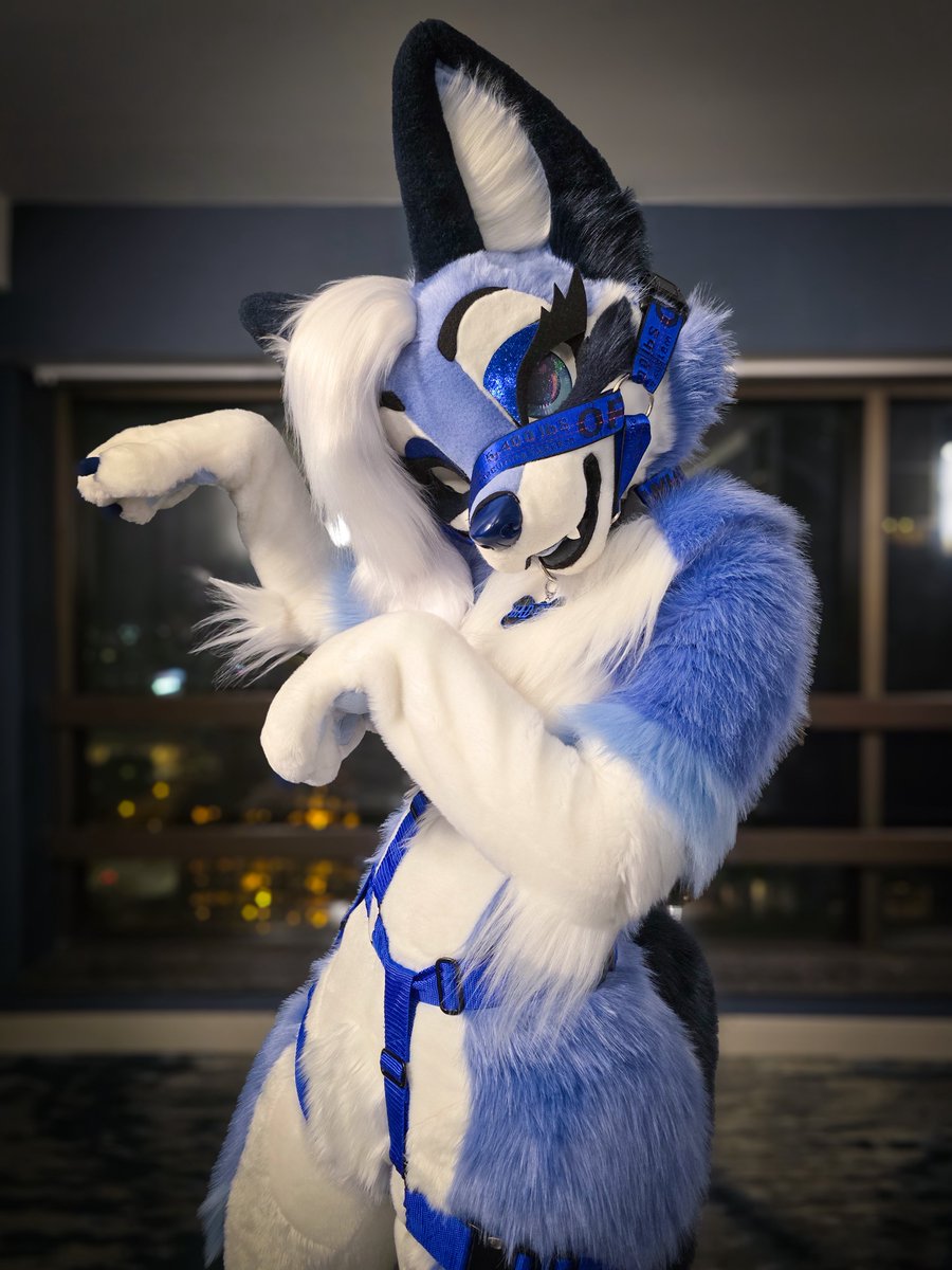 Hug, boop, or cuddle? ❤️ 

#FursuitsFriday