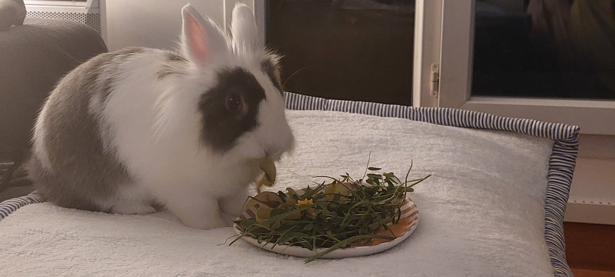 Circe592 tweet media