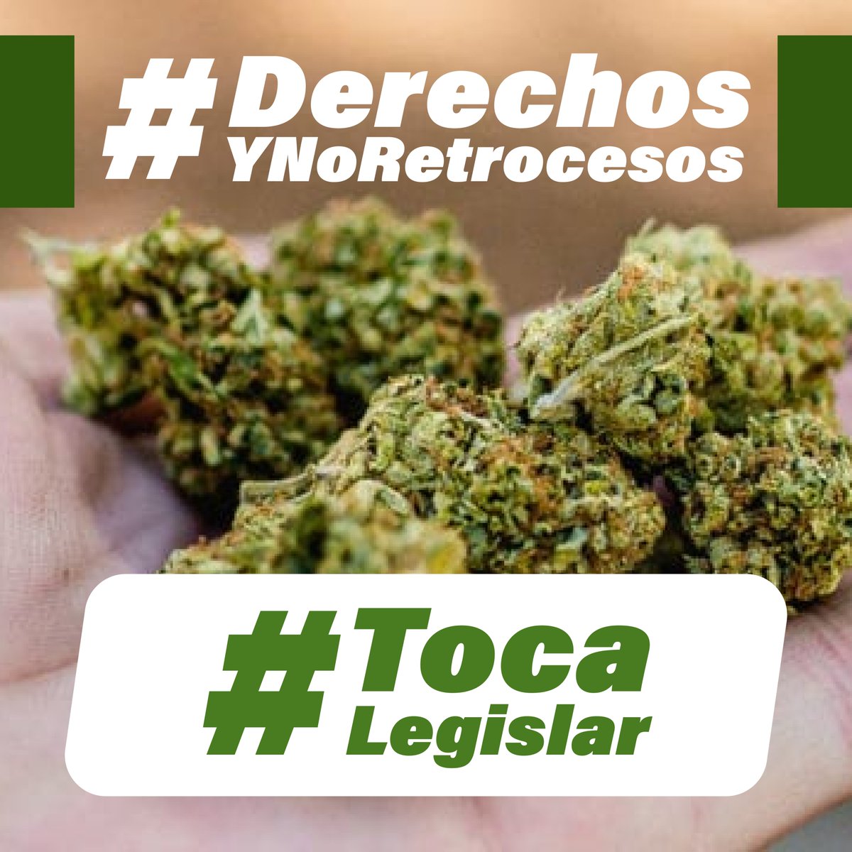 La legalidad y la justicia están del lado de la gente. La prohibición del cannabis es un tema de derechos, y el Congreso y la Cofepris no pueden seguir ignorando a la SCJN. ¡Es hora de legislar! #DerechosYNoRetrocesos #TocaLegislar