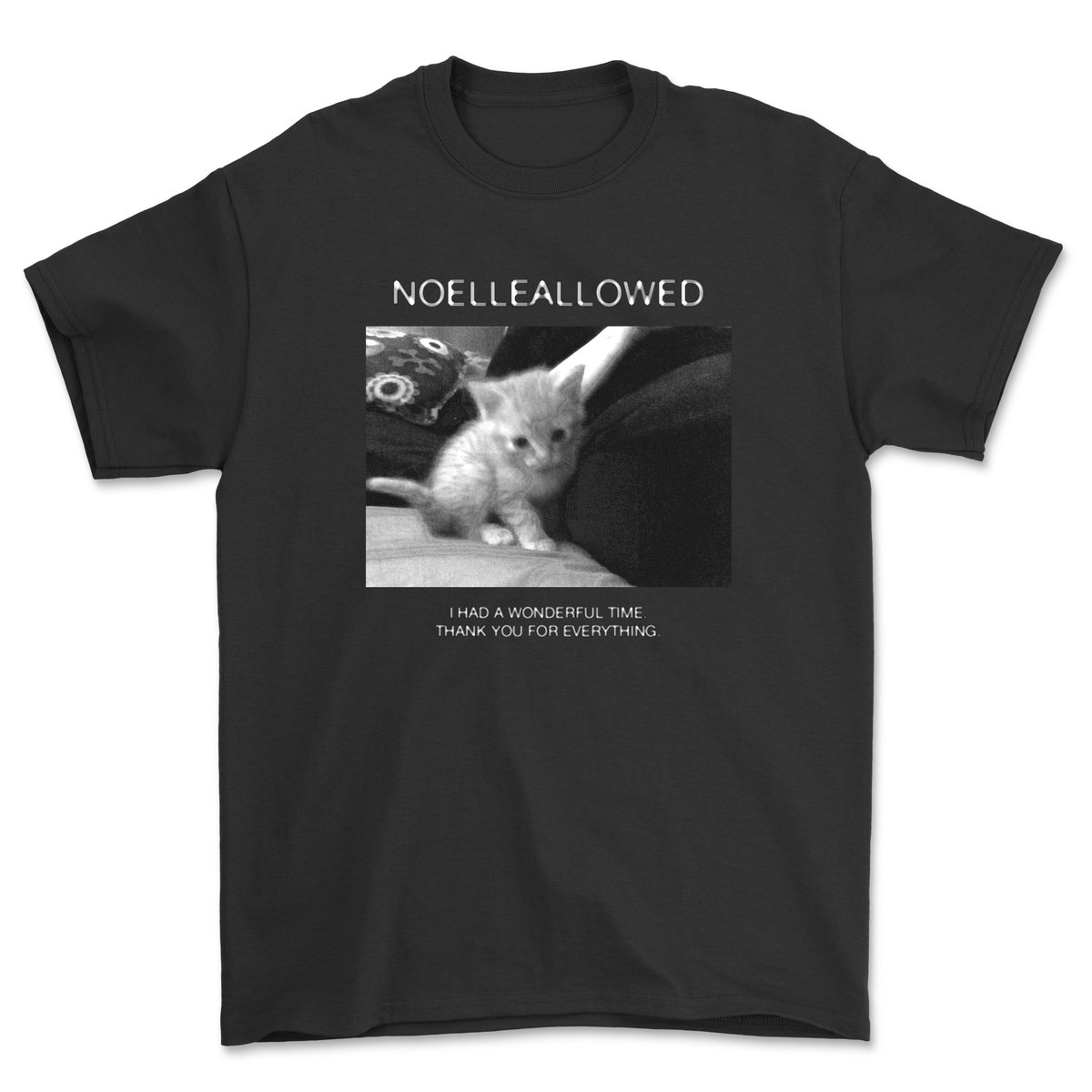 BolbbalGangsta's tweet photo. 2 New shirt designs added to celebrate @noelleallowed's latest album. We have a premium tee and a more budget friendly open pre order option!

We also extended the pre order date for the CD's till september 12th! https://t.co/D7Dnb9tu5U