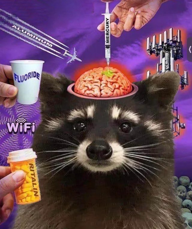 Spends 4 hours doomscrolling TikTok… yeah I’m cooked