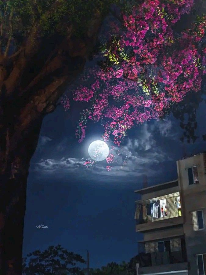 Good night! May silence wrap you in comfort and give you gentle rest.