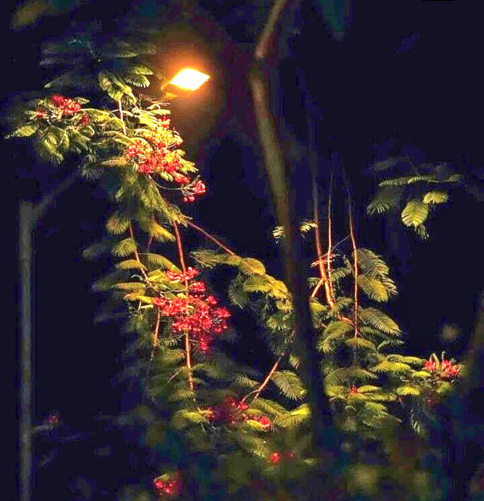 Good night! May your heart be light and your dreams shine bright.