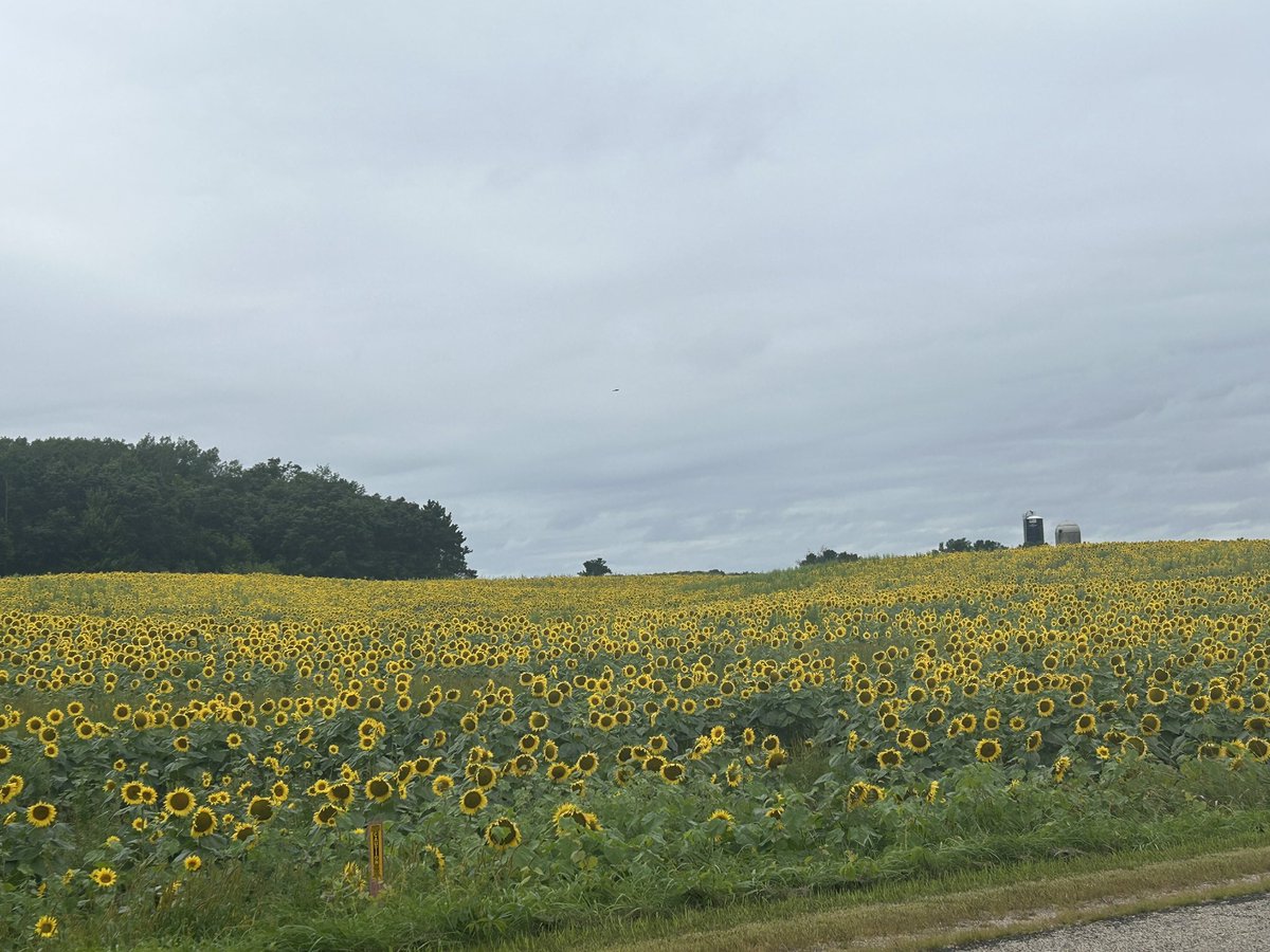 FoodStringer's tweet image. Amazing place near the office! Now THIS is a great lunch break! Thank you to Bart and everyone at Sopa Fairview Farm for all you do!