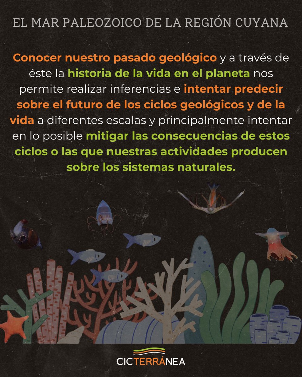 CICTERRÁNEA tweet media