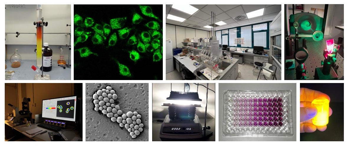 Francisco Galindo (@pdepaco) on Twitter photo Contrato #predoctoral disponible ( #FPI ). Proyecto Ministerio: “Desarrollo de fotosensibilizadores basados en cationes lipofílicos deslocalizados para terapia fotodinámica mitocondrial”. Anuncio preliminar (más detalles en breve). Info grupo y contacto: photochemistry.uji.es Contrato #predoctoral disponible ( #FPI ). Proyecto Ministerio: “Desarrollo de fotosensibilizadores basados en cationes lipofílicos deslocalizados para terapia fotodinámica mitocondrial”. Anuncio preliminar (más detalles en breve). Info grupo y contacto: photochemistry.uji.es
