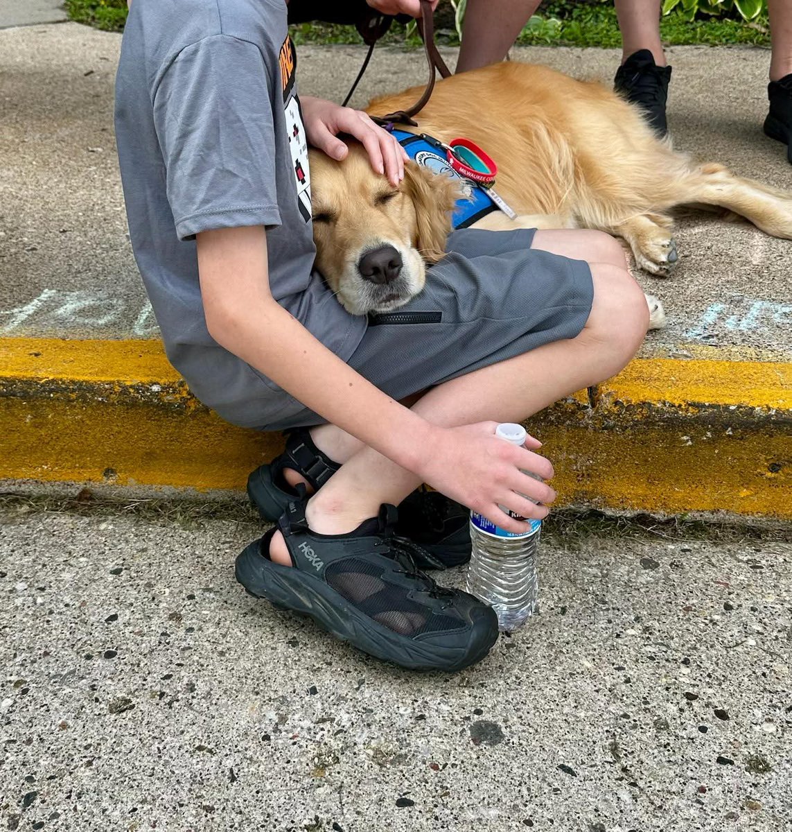 WeRateDogs (@dog_rates) on Twitter photo A group of 6 comfort dogs from <a href="/K9ComfortDogs/">LCC K-9 Comfort Dogs</a> arrived in Minneapolis yesterday in the wake of a shooting at Annunciation Catholic School that left 2 children dead and 18 others injured, including 3 adults. The organization deploys comfort dogs from around the country following A group of 6 comfort dogs from <a href="/K9ComfortDogs/">LCC K-9 Comfort Dogs</a> arrived in Minneapolis yesterday in the wake of a shooting at Annunciation Catholic School that left 2 children dead and 18 others injured, including 3 adults. The organization deploys comfort dogs from around the country following