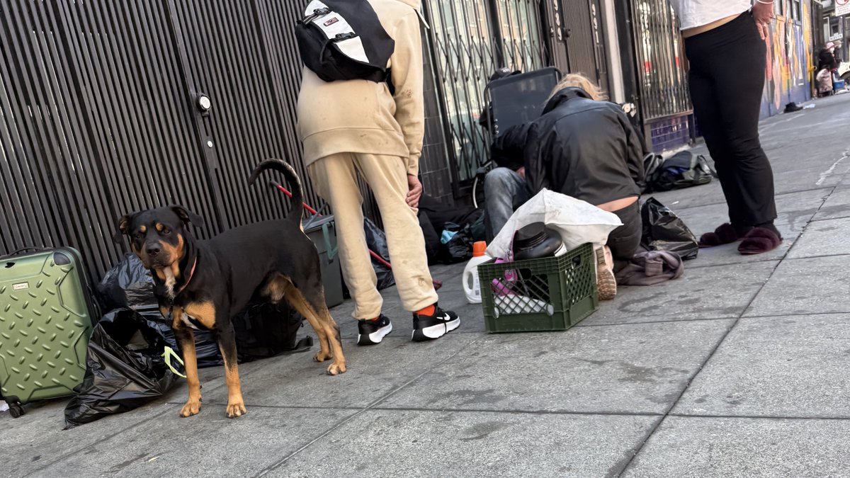 Mission at 6th <a href="/DanielLurie/">Daniel Lurie 丹尼爾·羅偉</a> <a href="/SF311/">SF311</a> <a href="/SFPD/">San Francisco Police</a>