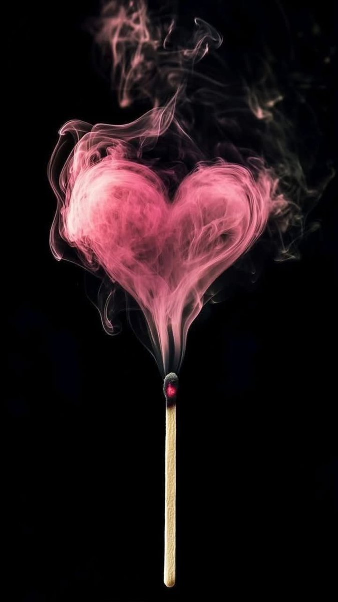 The sun is new each day🌸
Good morning ✨🌻