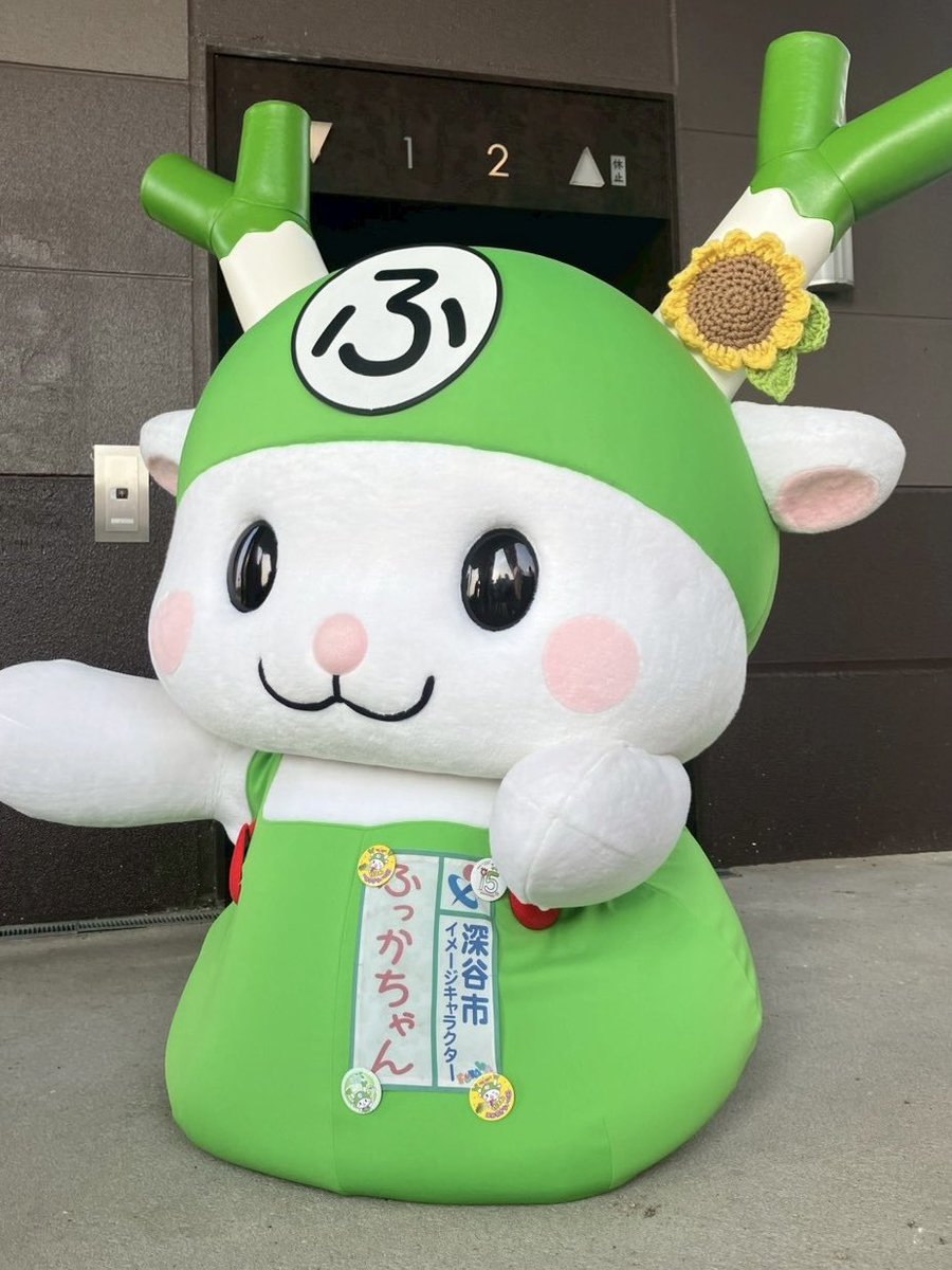 ふっかちゃん on X