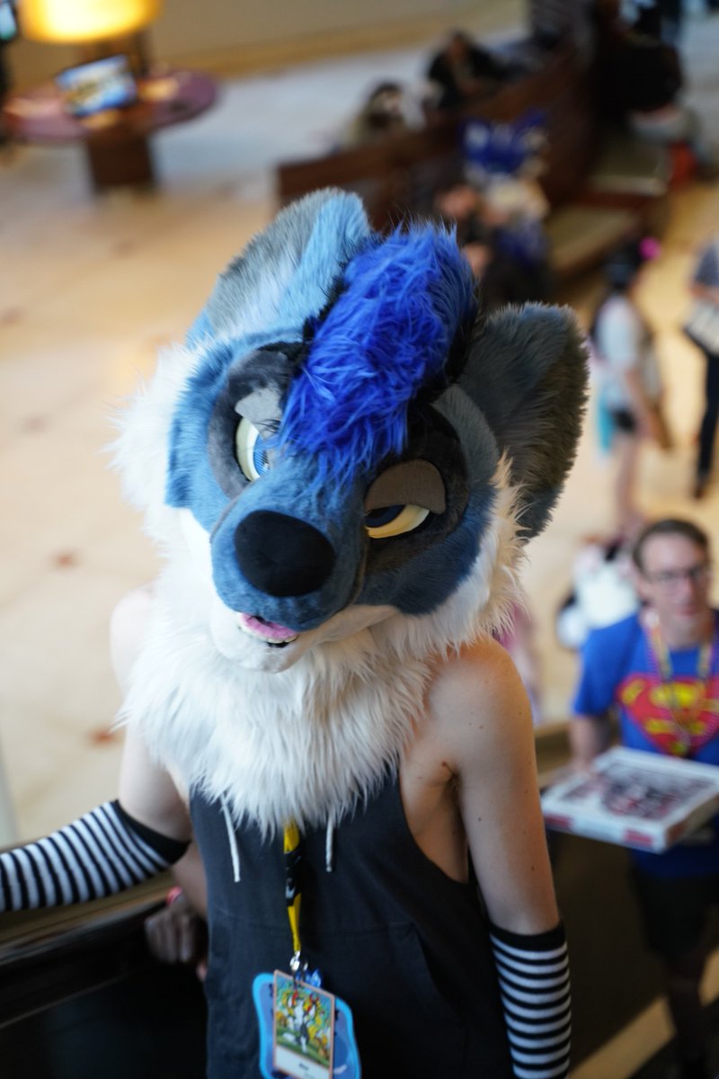 🐶✨️Star✨️🏳️🌈 (@staradder8) on Twitter photo Wanna go for walkies?
#Furrydelphia2025 Wanna go for walkies?
#Furrydelphia2025