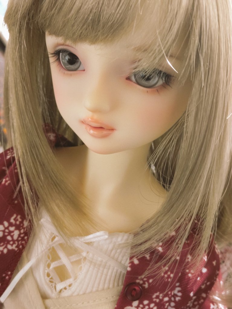 #SD #SDマキ 
洗濯待ちの間、マキとのひとときを楽しんでる