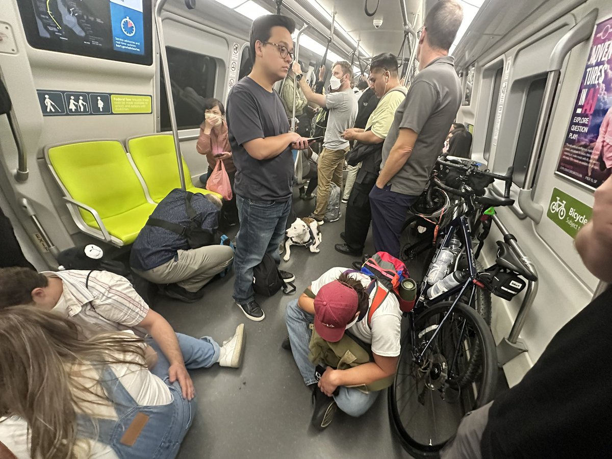 Alan Mond tweet media