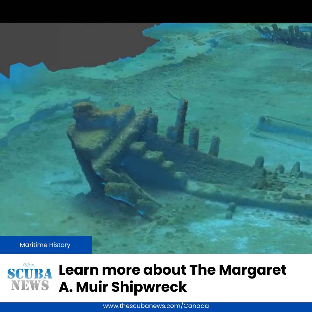 The schooner Margaret A. Muir, an American vessel, went down during a storm on Lake Michigan on September 30, 1893. More than a century later, on May 12, 2024, its wreck was found submerged in 50 feet (15 meters) 

⚓️ 🤿 👉  buff.ly/Gs3r6zJ