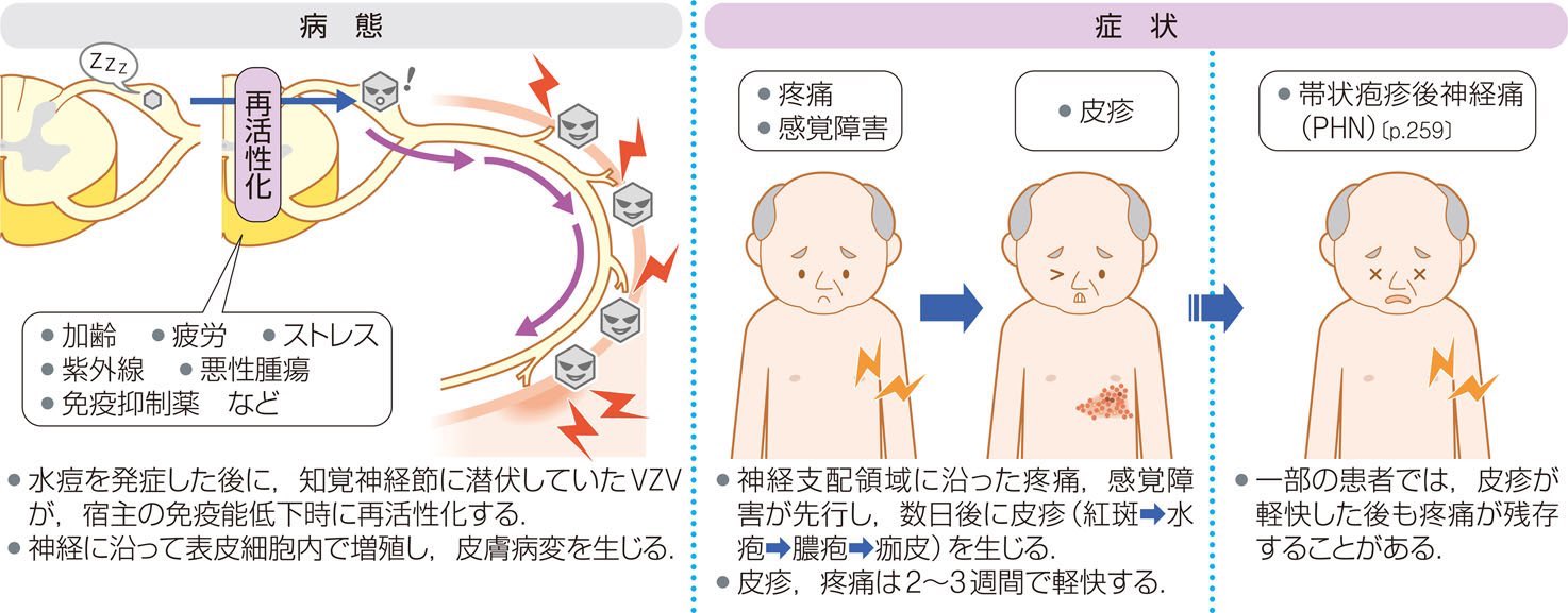 🏥八丈島こころみクリニック🏝️🌞🌊 on X: 