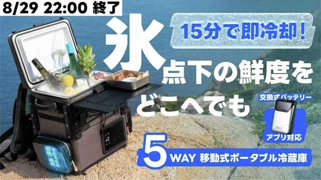 Litheli ポータブル冷蔵庫 バッテリー付 SE 16L 急速冷凍 車載 Amazon.co.jp: Litheli ポータブル冷蔵庫 16L -20℃～20℃ 急速